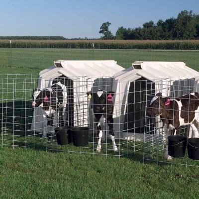 China Calf Cage Easily Clean Space Saving Heavy Duty Plastic Food Grade Feed Calf Hutch Separately for sale