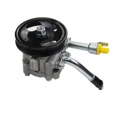 China Power Steering Pump For Nissan Navara Pathfinder 49110-EB300 49110-3XN0C Standard Size for sale