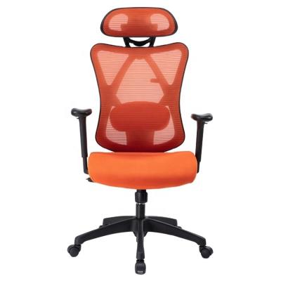 China Adjustable& EU High Rotation Mesh Ergonomic Swivel Office Chair Back Lumbar Support for sale