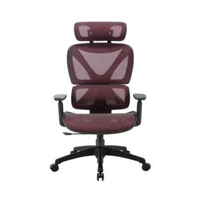 China Adjustable& Ergonomic EU Mesh Executive Office Chair High Rotation Back Lumbar Support With Adjusted Armrest for sale