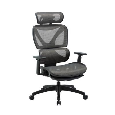 China Adjustable& Ergonomic EU Office Chair Swivel Chair Rotation Support With Advanced Design Certificate for sale