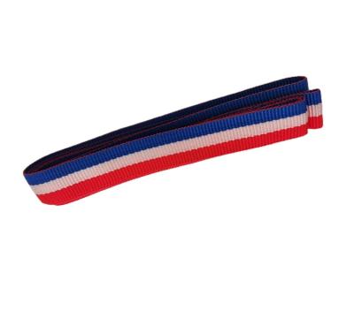 China Factory Supply Low Price Popular Custom Made Multicolor Tenacity Garment Webbing Ribbon for sale