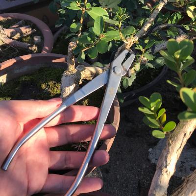 China Professional High Quality ScissorsBlack Pine Bonsai Tool Bonsai ToolsIndustrialPruning Anti-skid Handle Bonsai for sale