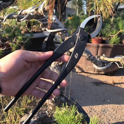 China High Quality Scissors ToolsBypassProfessional Black Pine Bonsai Tree Bonsai KitAnti-skid Handle Pruning Bonsai for sale