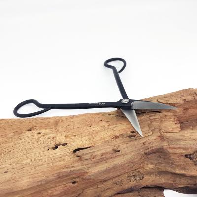 China Wholesale ScissorsProfessional Bonsaitainless SteelBonsai Black Pine Handle Bonsai Pruning Scissors High Quality Anti-Slip ToolsPruning for sale