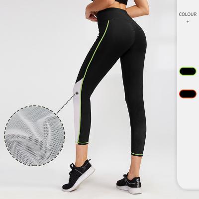 China Contour7 Dots Mesh Breathable High Waist Breathable Lady Fitness Yoga Woman Tight Gaiters for sale