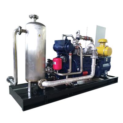 China 380V/220V 100kw LPG Electric Generator Including Heat Exchanger for sale