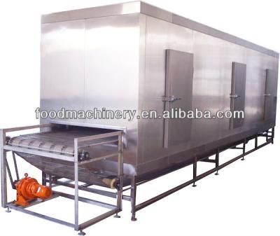 China 304 stainless steel tunnel air blast freezer for fish meat vegetable for sale