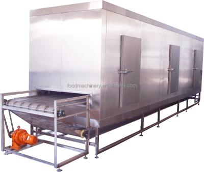 China freeze food person in short time tunnel iqf/food machine for sale