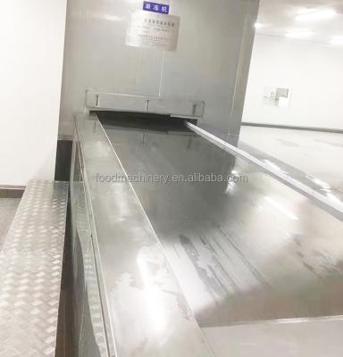 China 304 Stainless Steel Ice Cream Freezers / Tunnel Type for sale