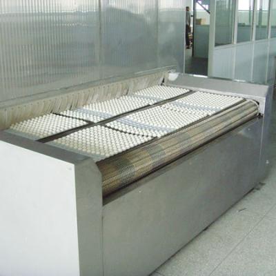 China 304 stainless steel tunnel iqf / food machine for sale