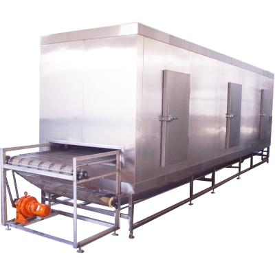 China 304 stainless steel iqf tunnel freezer for meat fish fruits and vegetables for sale