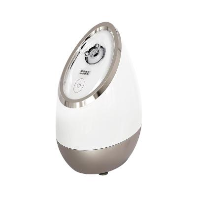 China DEEP CLEANSING Facial Steamer by Heating with Mini Facial Steamer Portable Facial Steamer for sale