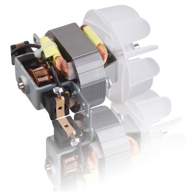 China High quality multifunctional motor use of totally enclosed universal electric speed control 110/220V AC motor for sale