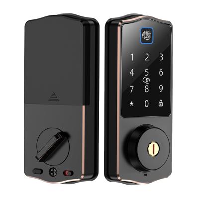 China Single sided smart electronic door lock with APP password smart door lock with zinc alloy G-13 for sale