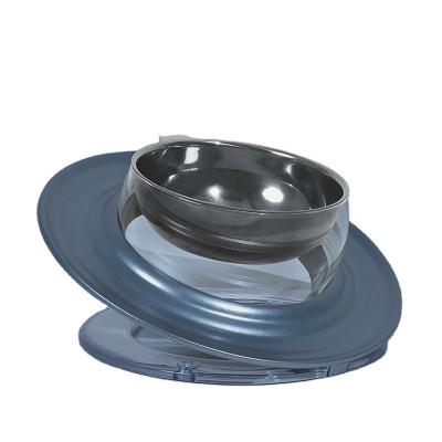 China Stainless Steel Viable Cat Bowl Tilted Elevated Cat and Small Dog Food Bowls to Improve Digestion and to Reduce Neck Strain for sale