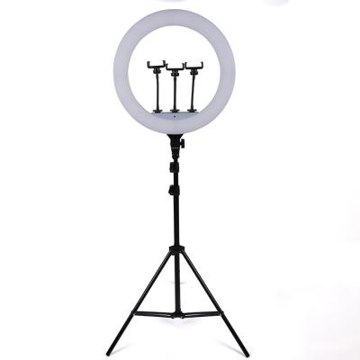 China ABS Photography Studio Makeup LED Beauty Fill Light Ring Light For Phones With Light Stand for sale