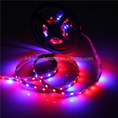 China 5050 Stainless Steel Grow 4:1 Aquarium Red 60led/m Flexible 4 LED Strip Light Blue Hydroponic Greenhouse Plant 1M 2M 4M 5M 1M 2M 4M 5M for sale