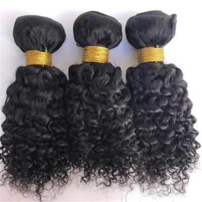 China 100% Brazilian Curly Virgin Human Hair Curly Virgin Hair Bundles Curly Virgin Human Hair Bundles for sale