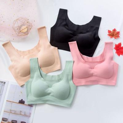 China Jinyu QUICK DRY plus size bra seamless bras for women BH underwear lift up Bralette with protective vest top bra for sale