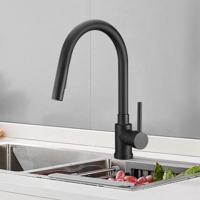 China Pull Out Spray Hot And Cold Water Flexible Hose For Kitchen Faucet Kitchen Sink Type 304 Stainless Steel With Pull Out Spout Black Color Sale for sale