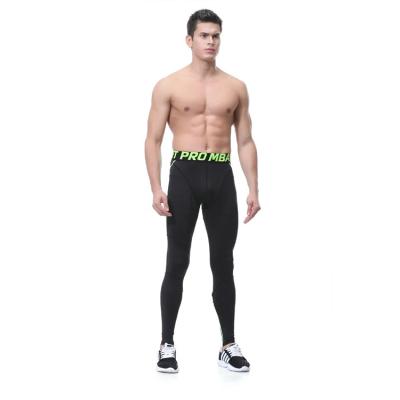 China Favorable Wholesale Breathable Price Seamless Leggings Crac! crack! Power Squatproof Gaiters for sale