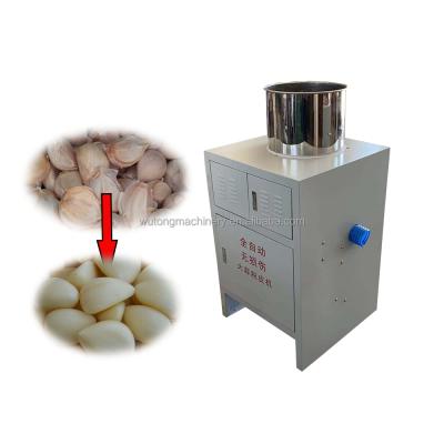 China Easy Operation 300-500kg/h Garlic Skin Removing Garlic Peeler Machine Garlic Peeling Machine Stainless Steel for sale