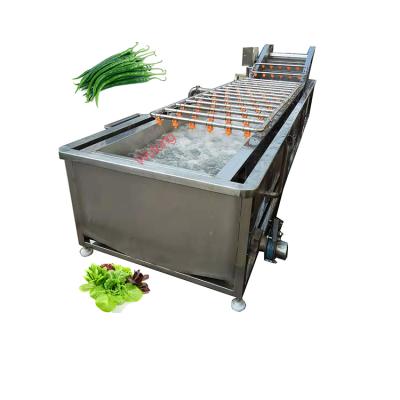 China Easy Operation Small Scale Fruit Vegetable Automatic Continuous Bubble Washing Machine And Sorter for sale