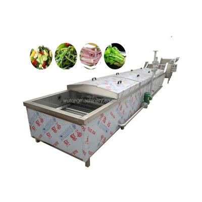 China Save Energy Industrial Vegetable Peanut Almond Potato China Factory Supply Fruit Blanching Machine for sale