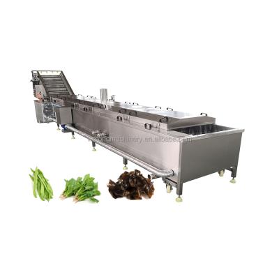 China Save Energy Fruits And Vegetables Processing Steam Equipment Fruit Berry Apricot Blanching Machine for sale