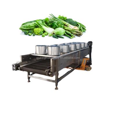 China Automatic Banana Fruit Plantain Chips Drying Machine In China for sale