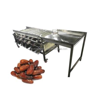 China Easy Operation Stainless Steel Date Palm Jujube Grading Machine 1000 Kg/H Hour Dates Sorter For Sale for sale