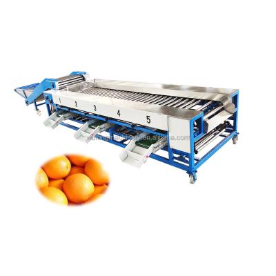 China Potato Vegetable Orange Tomato Apple Fruit High Yield Fruit Grading Machine Sorter Sorter for sale