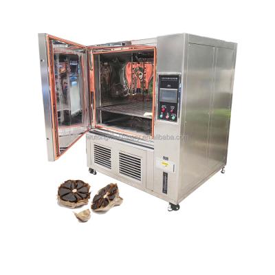 China Easy operation black garlic fermentation machine fermentation box black garlic fermenter machinery for sale for sale