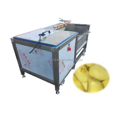 China Easy Operation China 304 Stainless Steel Brush Roller Type Cassava Potato Washing Peeling Machine for sale