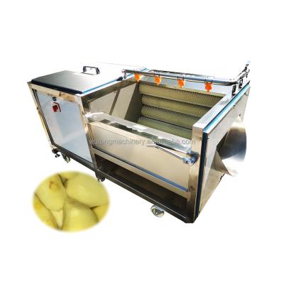 China Easy Industrial Brush Peeler Industrial Brush Fresh Machine Seal Cassava Root Ginger Carrot Cassava Root Washing Peeling Machine for sale