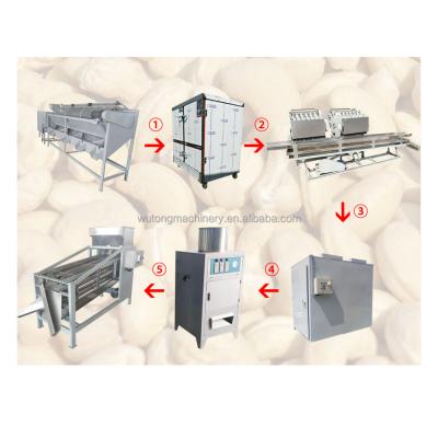 China Raw Cashew Processing Machine Cashew Nut Processing Machine Cashew Nuts Factory Raw Cashew Nuts Roasting Machine for sale