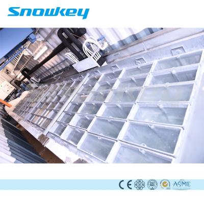 China Garment Shops Snowkey Price Of Ice Block Making Machine For Ice Factory for sale