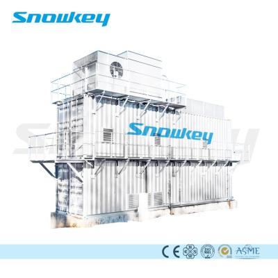 China Hotels Snowkey Flake Ice Plant (40Ton/Day) for sale