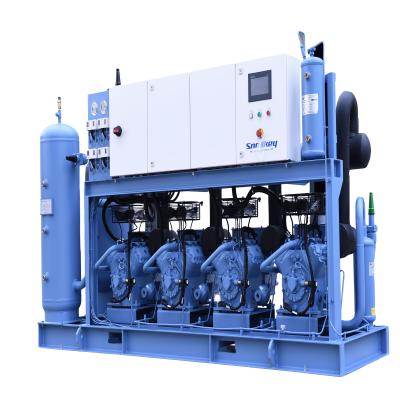 China High Quality Piston Compressor Best Hotels Piston Compressor Units For Refrigeration for sale