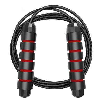 China Fitness China Manufacturer Wholesale Adjustable Speed ​​Bearing Jump Rope For Training for sale