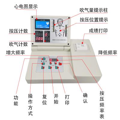 중국 CPR590 Advanced Cardiopulmonary Resuscitation Simulator Whole Body Thermal Glue and PVC 판매용