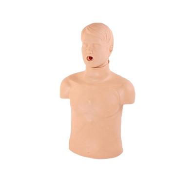 China CPR184 Medical Science Nursing Training CPR Manikin Half Body Adjustable Adult And Children CPR Maniki Heimlich Maneuver for sale