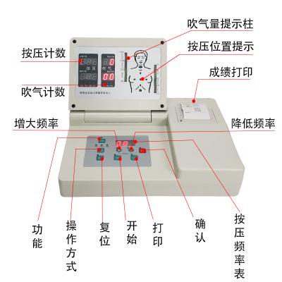 중국 Intelligent Automatic Electronic Defibrillator With Large Screen Lcd Displayer Cpr Training Manikin 판매용