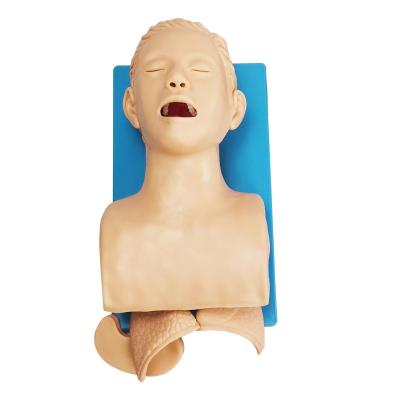 Cina J5S Human Trachea lntubation Model,Electronic tracheal intubation first aid training manikin in vendita