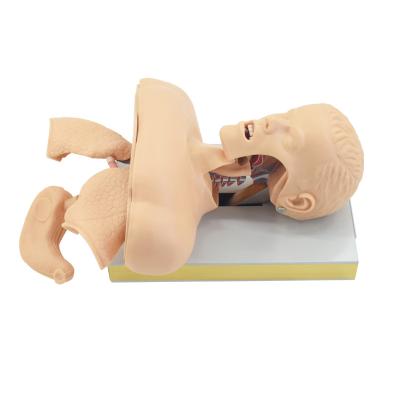 Cina Human Trachea lntubation Model hospital medical school teaching anatomical model J50 in vendita