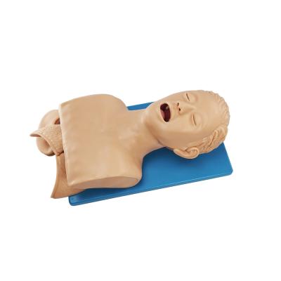 China Thermal Endotracheal Intubation Manikins Glue And Pvc Adult Tracheal Intubation Training Model for sale