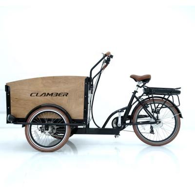 China Factory direct electric cargo bike cargo bike tricycle 3 wheel electric standard for kids for sale