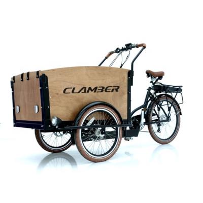 China Factory direct electric steel cargo bike cargo bike tricycle 3 wheel electric for kids for sale