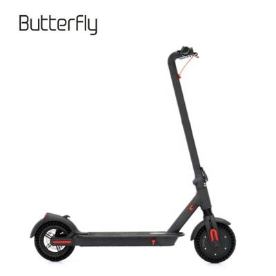 China Two Wheel Unisex Portable Off Road Scooter Kick Foldable 350W 36V/48V Adult Electric Scooter for sale